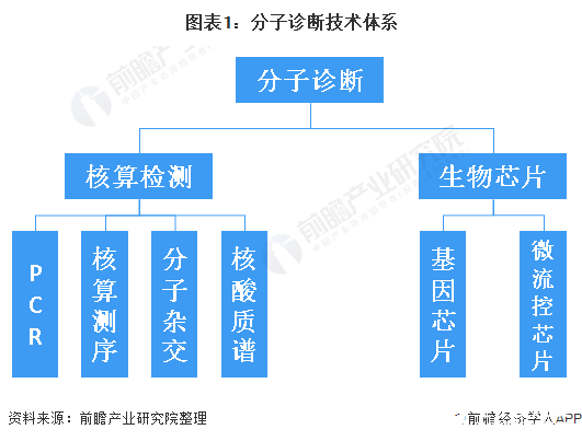 新冠疫情引爆分子診斷市場,2020年全球分子診斷市場將超過150億美元