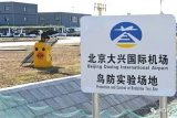 大兴机场防范鸟击明年启用探鸟雷达