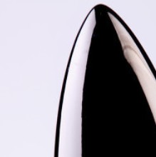 SpaceX载人龙飞船“Resilience”将于明晨准备发射