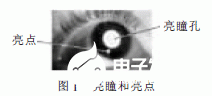 基于DSP开发板与光源和仿真器的防疲劳驾驶监测系统的设计