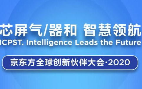 一图带你看BOE IPC·2020