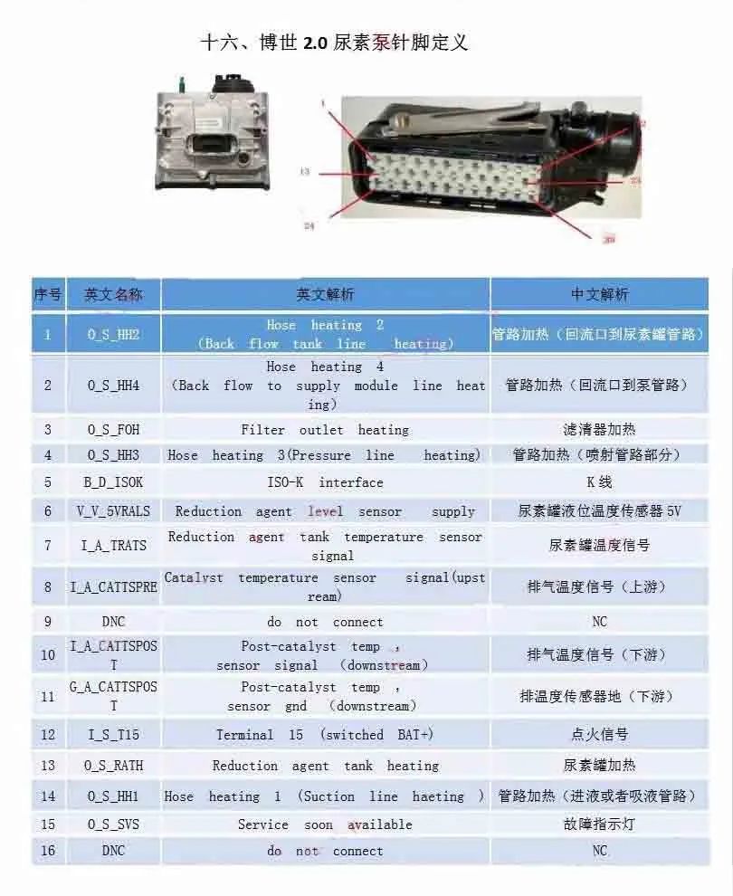 775c17f8-34cd-11eb-a64d-12bb97331649.jpg