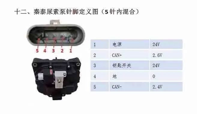76d69c68-34cd-11eb-a64d-12bb97331649.jpg