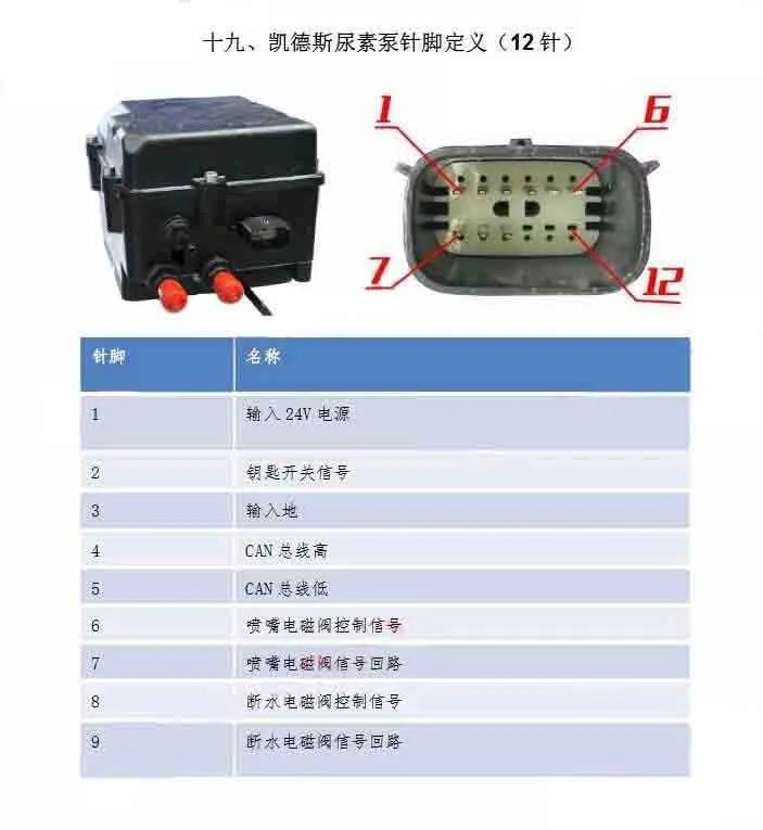 781a48ae-34cd-11eb-a64d-12bb97331649.jpg