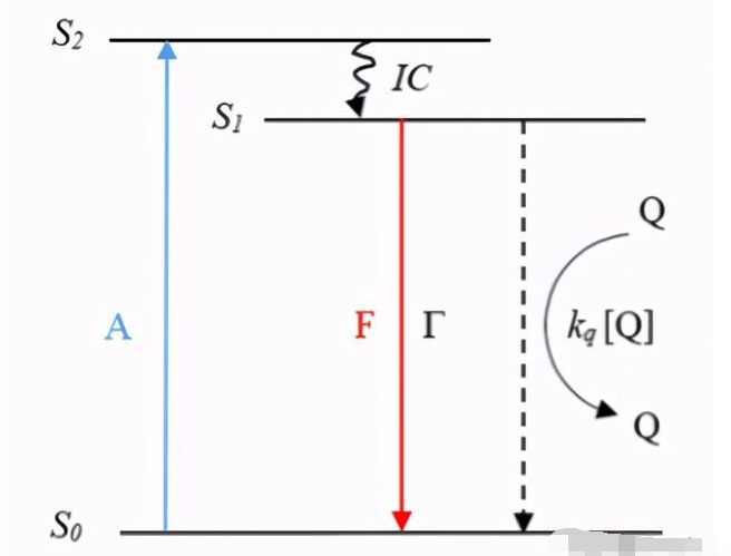 pIYBAF_RgEGAL4X7AAEGTbk5qPY032.png