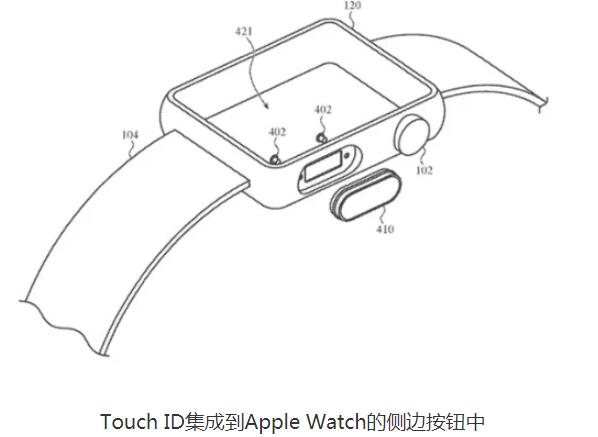 蘋果正考慮為Apple Watch增加Touch ID和屏下隱藏式攝像頭