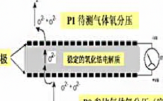 極限電流型氧化鋯氧氣傳感器SO-E2-250的特...
