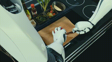 0c8e5a50-4439-11eb-8b86-12bb97331649.gif