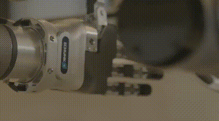 0d89bc60-4439-11eb-8b86-12bb97331649.gif