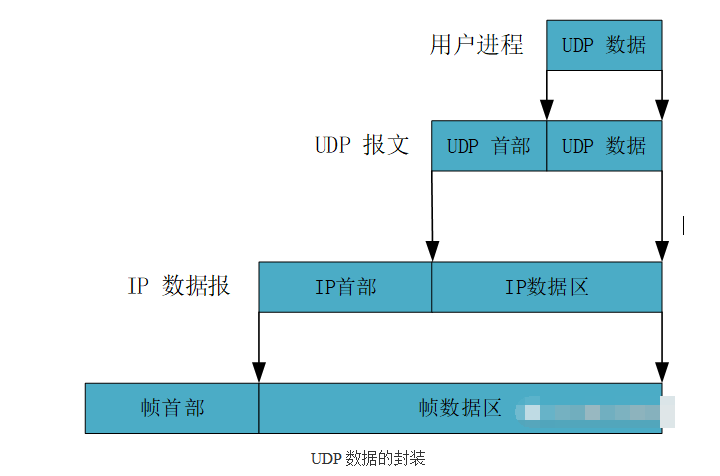 udp报文格式和数据结构体系
