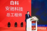 進入2020年以來,一度沉寂的磷酸鐵鋰電池開始回...