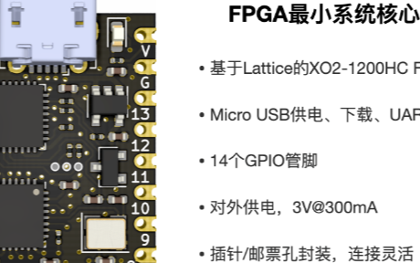 用一个仅有14条I/O腿的FPGA最小系统模块实现几种仪器的功能