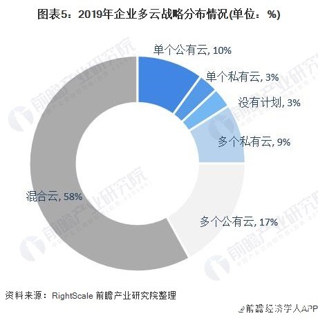 图表5：2019年企业多云战略分布情况(单位：%)