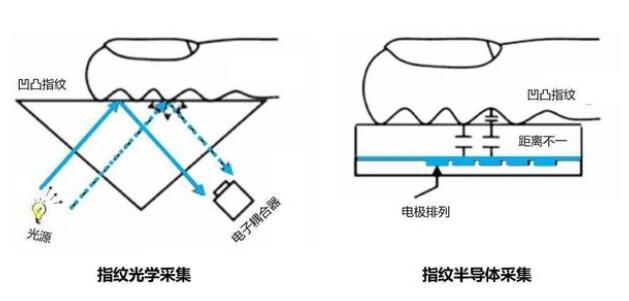 指纹识别技术到底安全吗