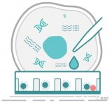 寻因生物宣布完成过亿元人民币A轮融资