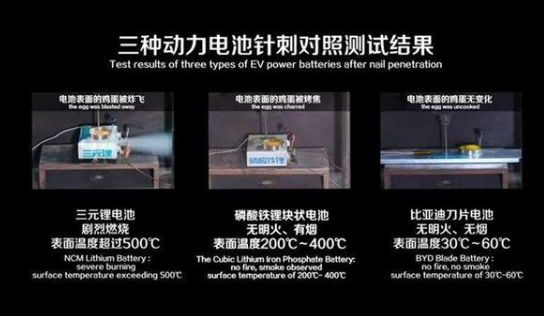 王传福:应将动力电池的针刺试验纳入强制标准