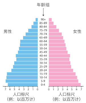 可视化