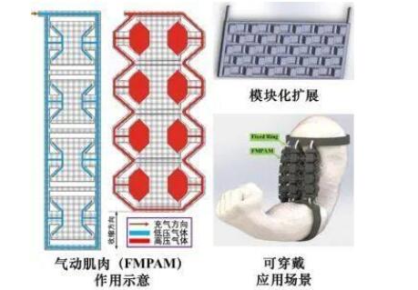 <b>天津大学</b>研发出3D打印软性机器人