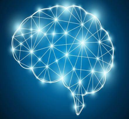 科学家通过超声波成功重启昏迷者的大脑