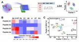 基于磁控生物识别分子直接电位响应的聚合物膜电极生...