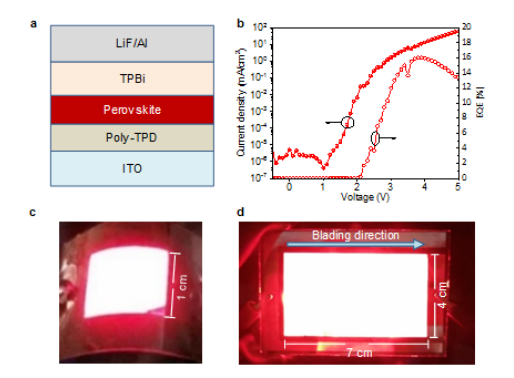 教授研究组在大面积制备钙钛矿LED领域取得重要进展