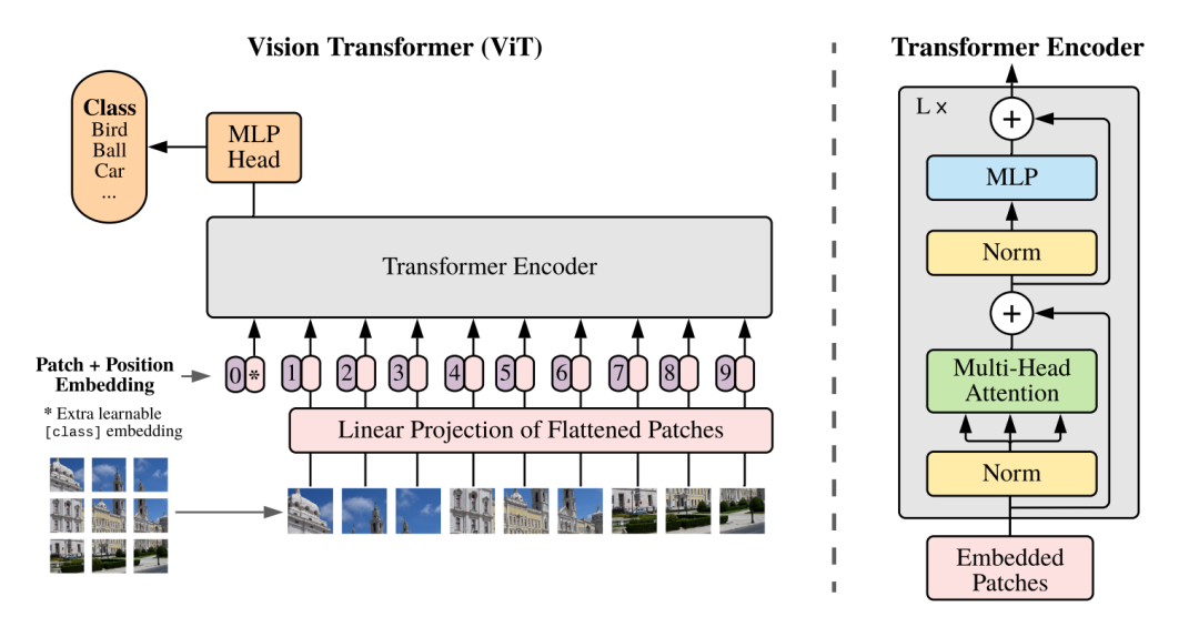 视觉新范式Transformer之ViT的成功