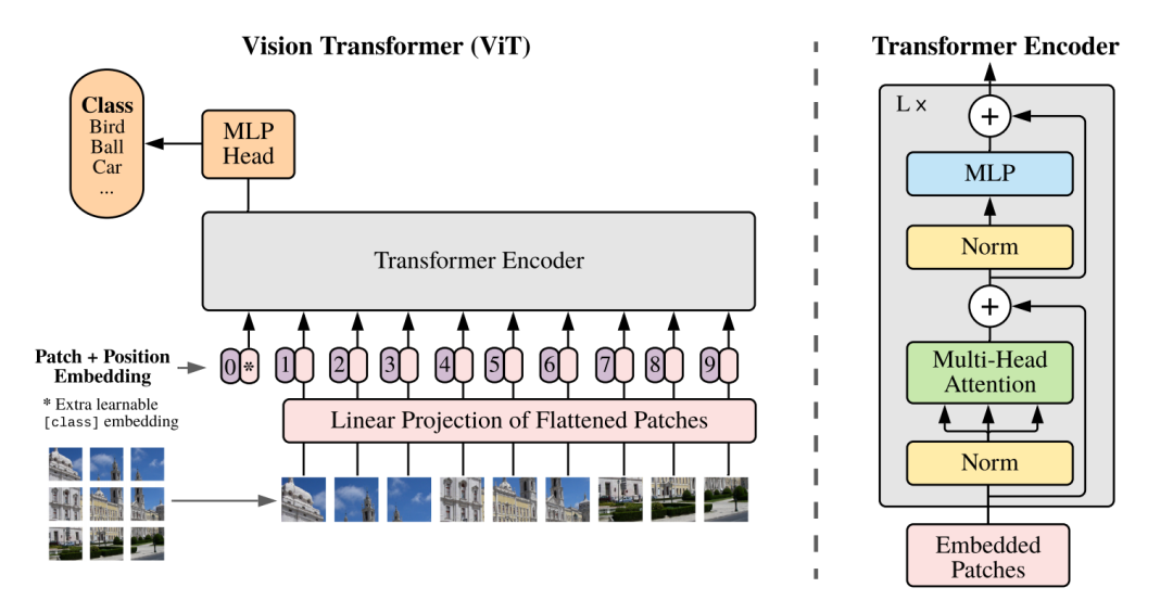 視覺新范式Transformer之ViT的成功