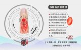 iPhone13系列会抛弃刘海,拥抱真正的全面屏...