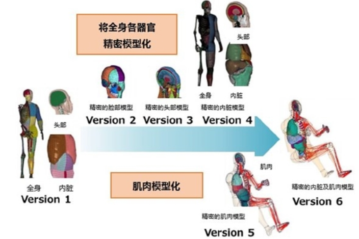 丰田正式无偿公开虚拟人体模型