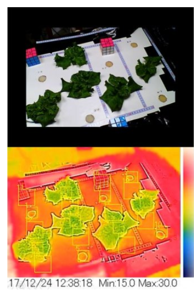 案例分析:FLIR AX8紅外熱像儀實時監控收集...