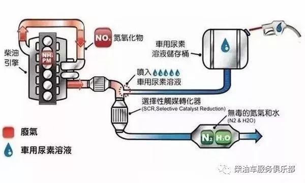 293a6f7c-7b2f-11eb-8b86-12bb97331649.jpg