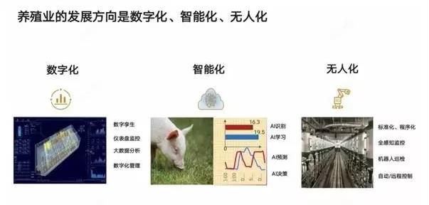 3de55760-7c25-11eb-8b86-12bb97331649.png