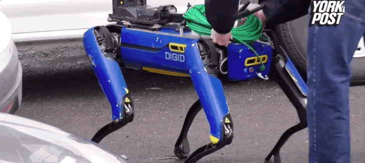 2fb790b8-80ad-11eb-8b86-12bb97331649.gif