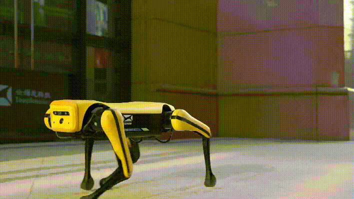 544612f6-80ad-11eb-8b86-12bb97331649.gif