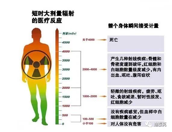 2eb120d0-860c-11eb-8b86-12bb97331649.jpg
