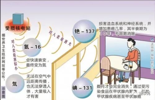 2eda8a24-860c-11eb-8b86-12bb97331649.jpg