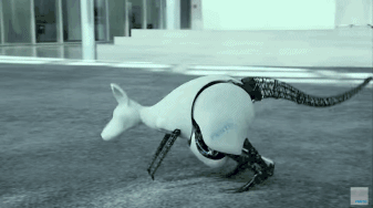 811d65c2-8c51-11eb-8b86-12bb97331649.gif
