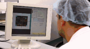 1d5ee6ac-8e3e-11eb-8b86-12bb97331649.gif