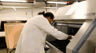 33ebaa04-8e3e-11eb-8b86-12bb97331649.gif