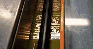 6903e6f2-8e3e-11eb-8b86-12bb97331649.gif