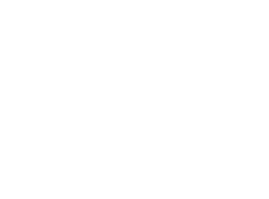 3f9a9ff2-8de1-11eb-8b86-12bb97331649.gif