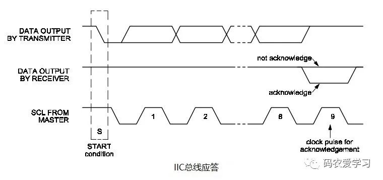 IIC