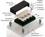 科学家使用3D打印技术创建了一个具有适应性且可重...