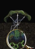 研究人員開發出一種新型基因編碼的生物傳感器