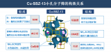 贺泓院士团队：Cu基小孔分子筛催化剂用于NH3选择性催化还原NOx