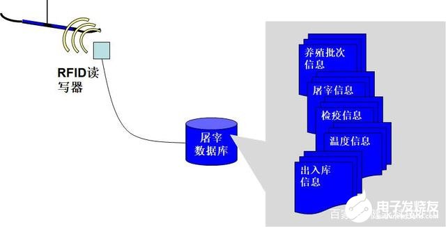 数据库