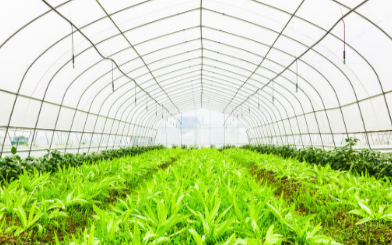 根系分析仪测定植物根系的参数是怎样的