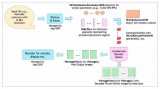 淺析Vulkan Video如何實現GPU加速視...