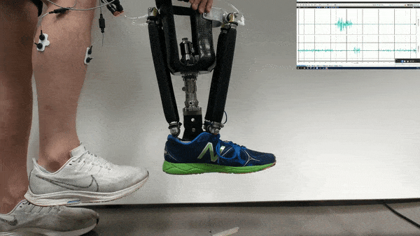 08c79998-a809-11eb-9728-12bb97331649.gif