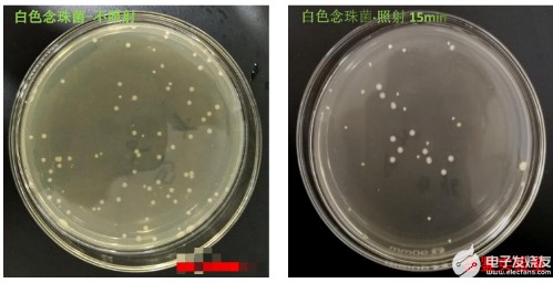 UV-LED紫外燈殺菌效果評(píng)估